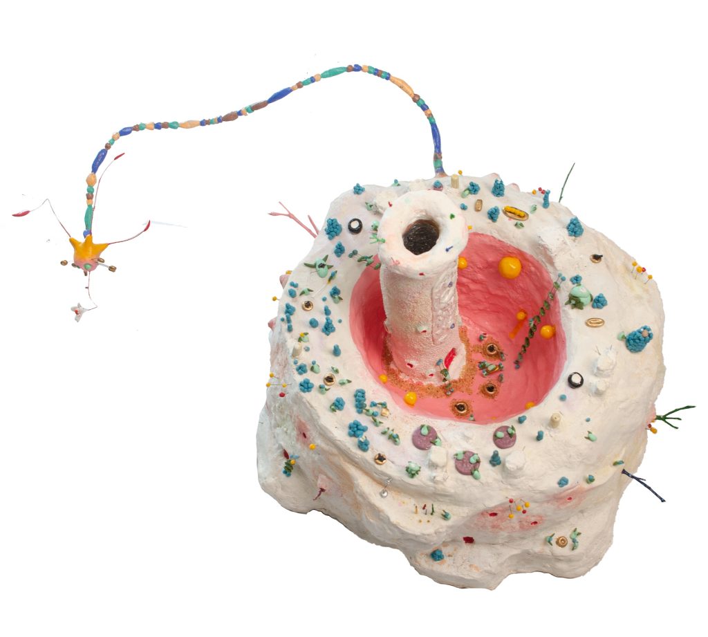 Mountain Story bottom interior layer